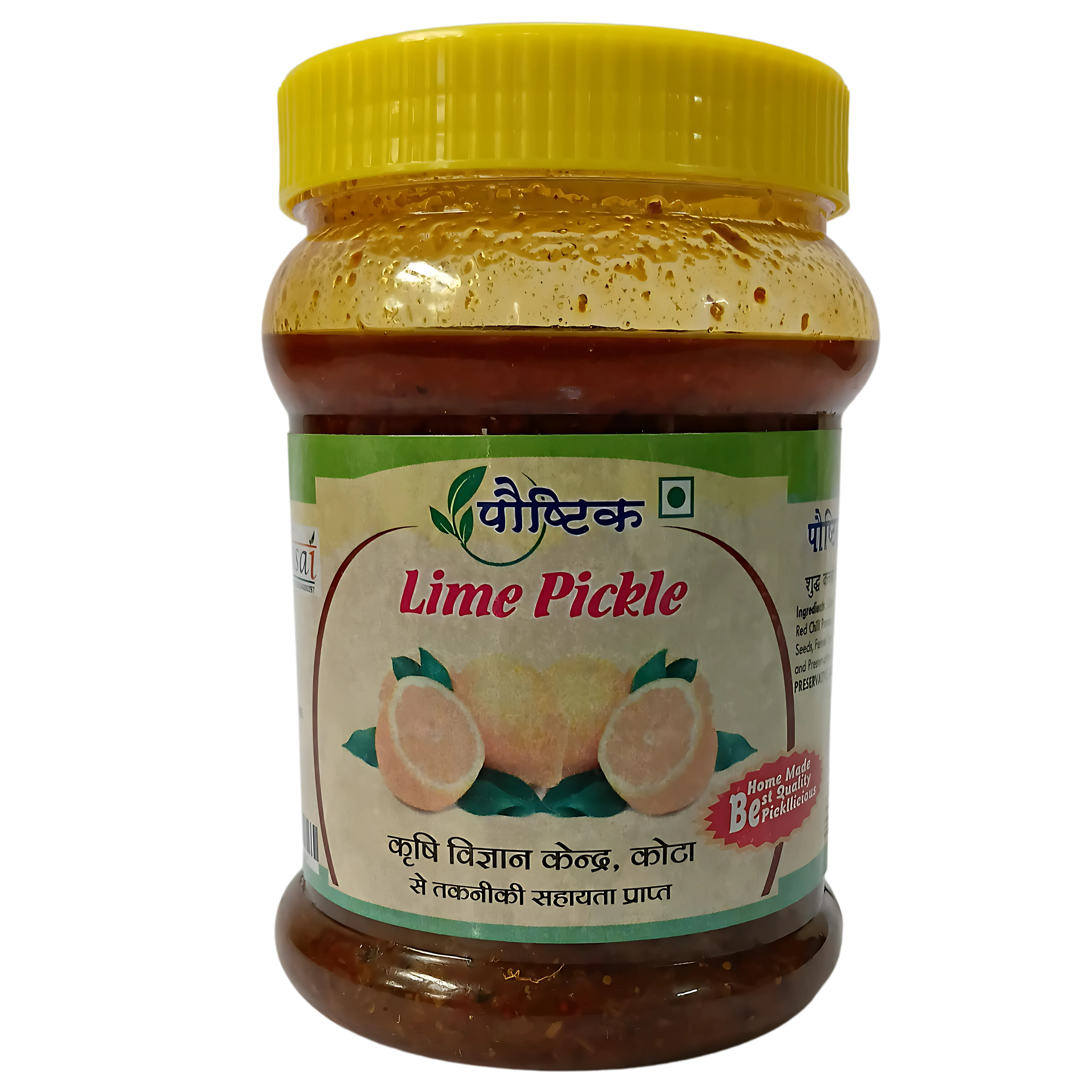 Shree Ji Poshtik Lime Pickle/450 gm