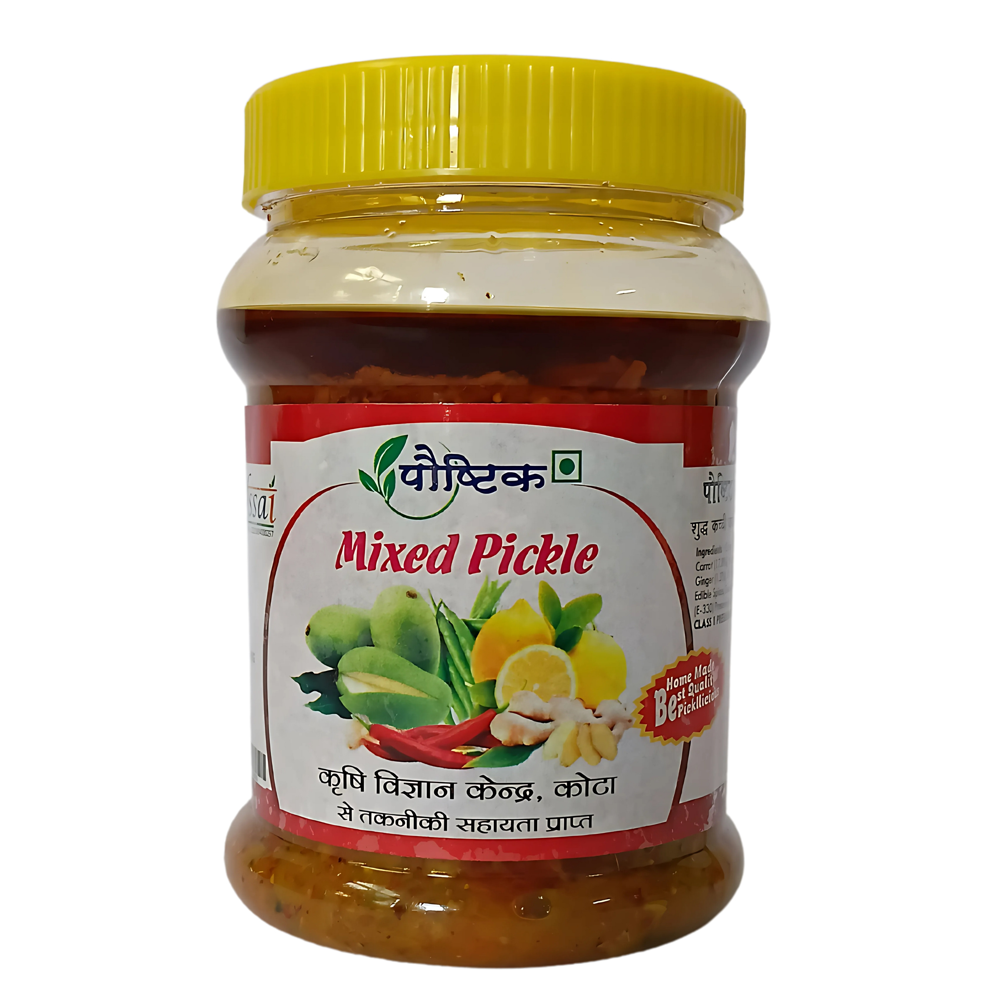 Shree Ji Poshtik Mixed Pickle/450 gm