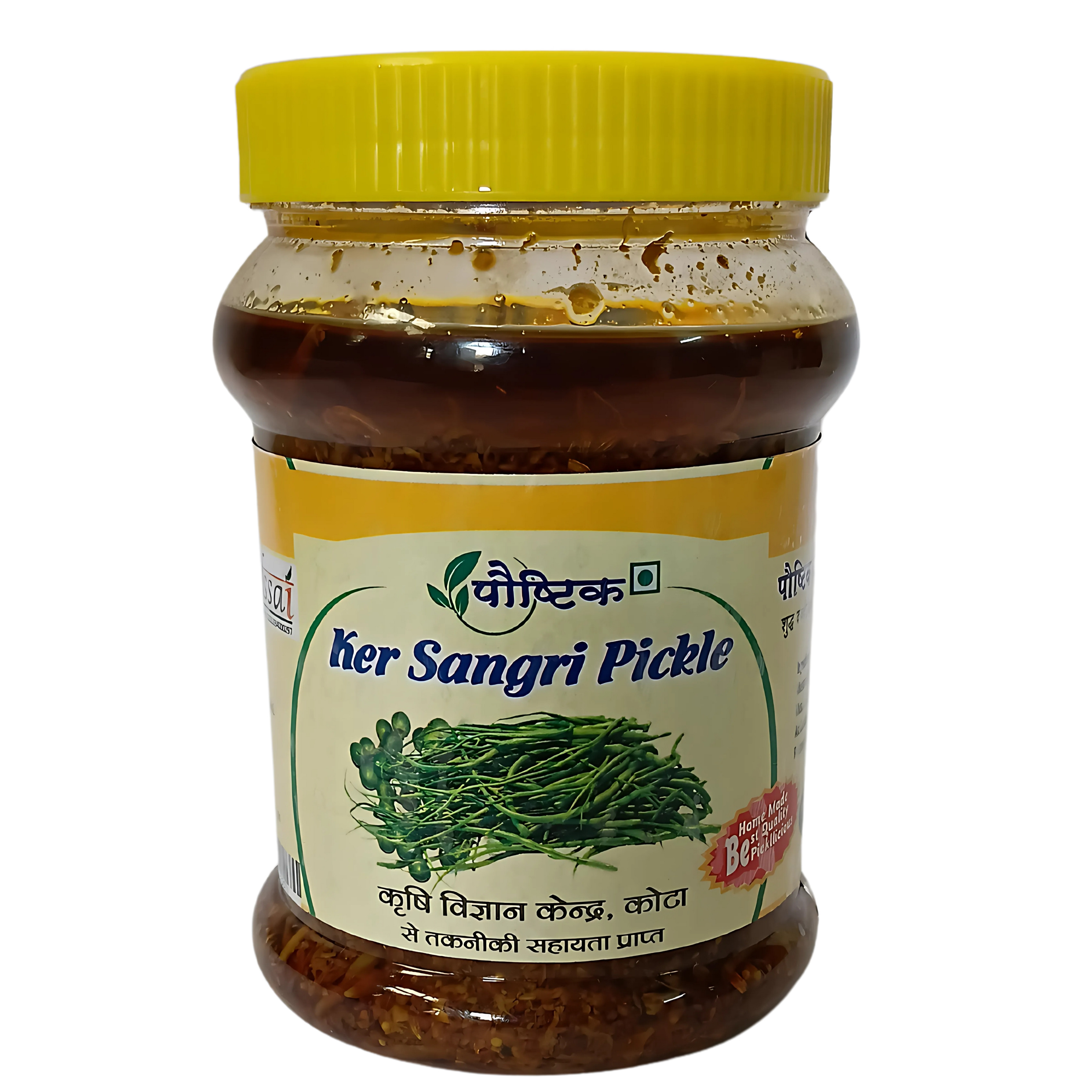 Shree Ji Poshtik Ker Sangri PIckle/450 gm