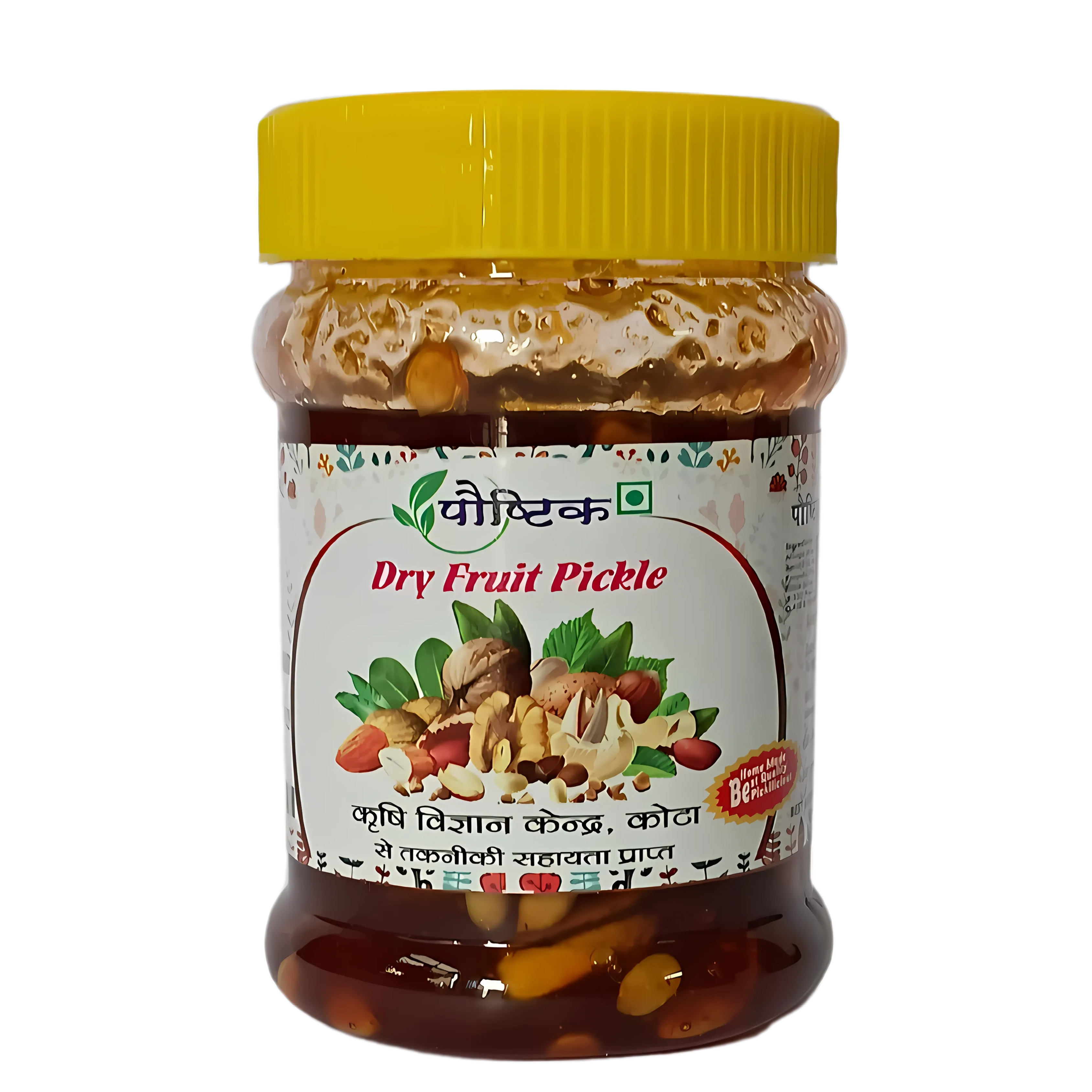 Shree Ji Poshtik Dry Fruit Pickle/450 gm