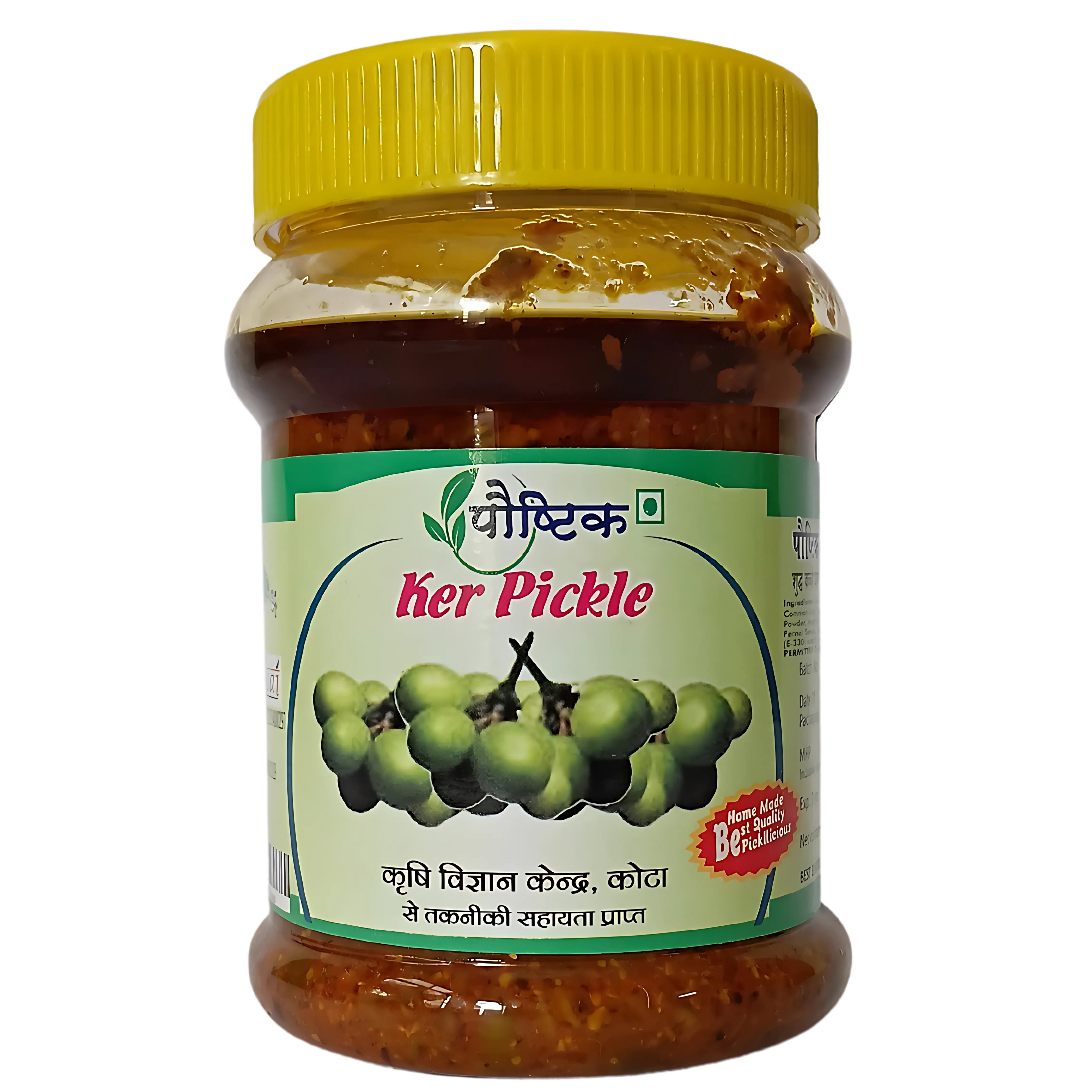 Shree Ji Poshtik Ker Pickle/450 gm
