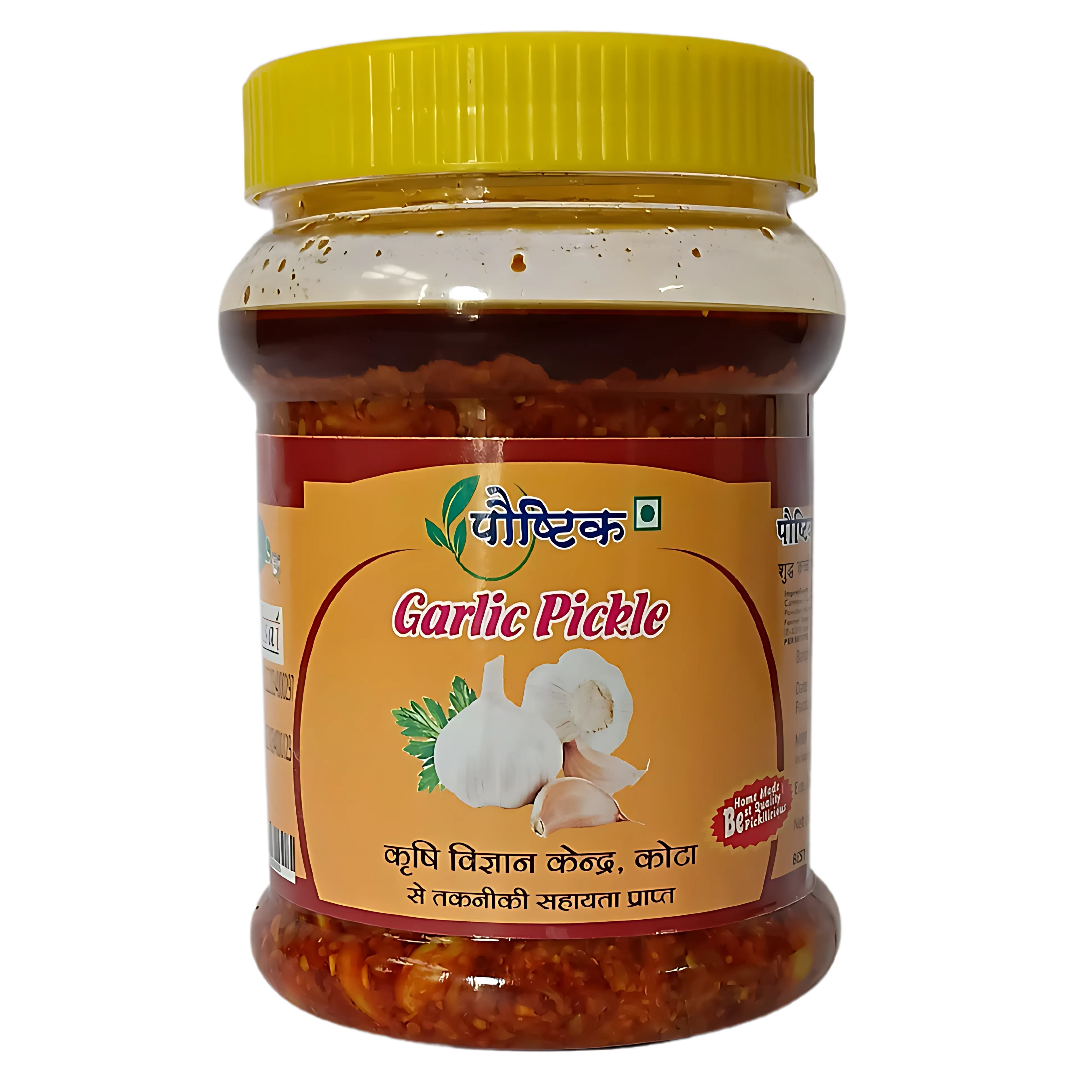 Shree Ji Poshtik Garlic Pickle/450 gm