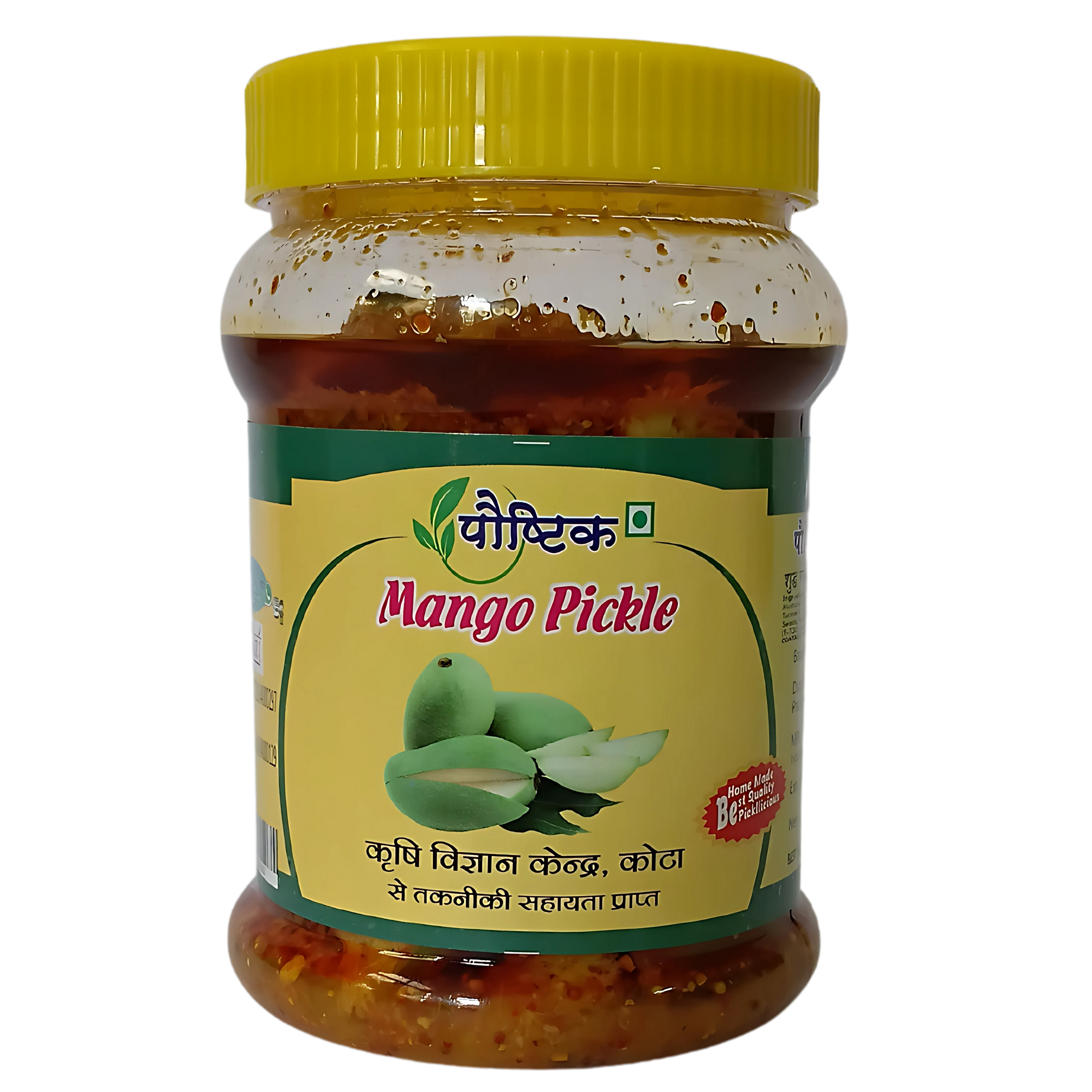 Shree Ji Poshtik Mango Pickle/450gm