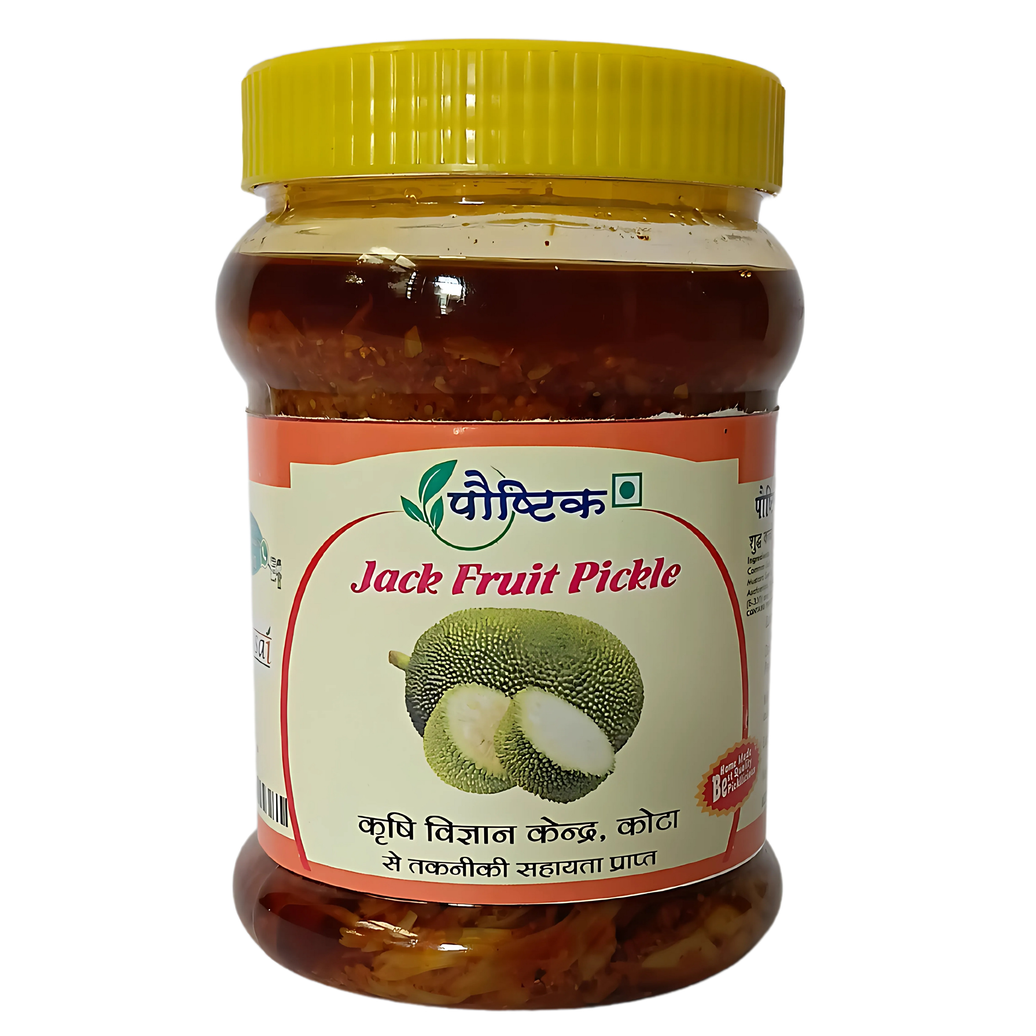 Shree Ji Poshtik Jack Fruit Pickle/450 gm
