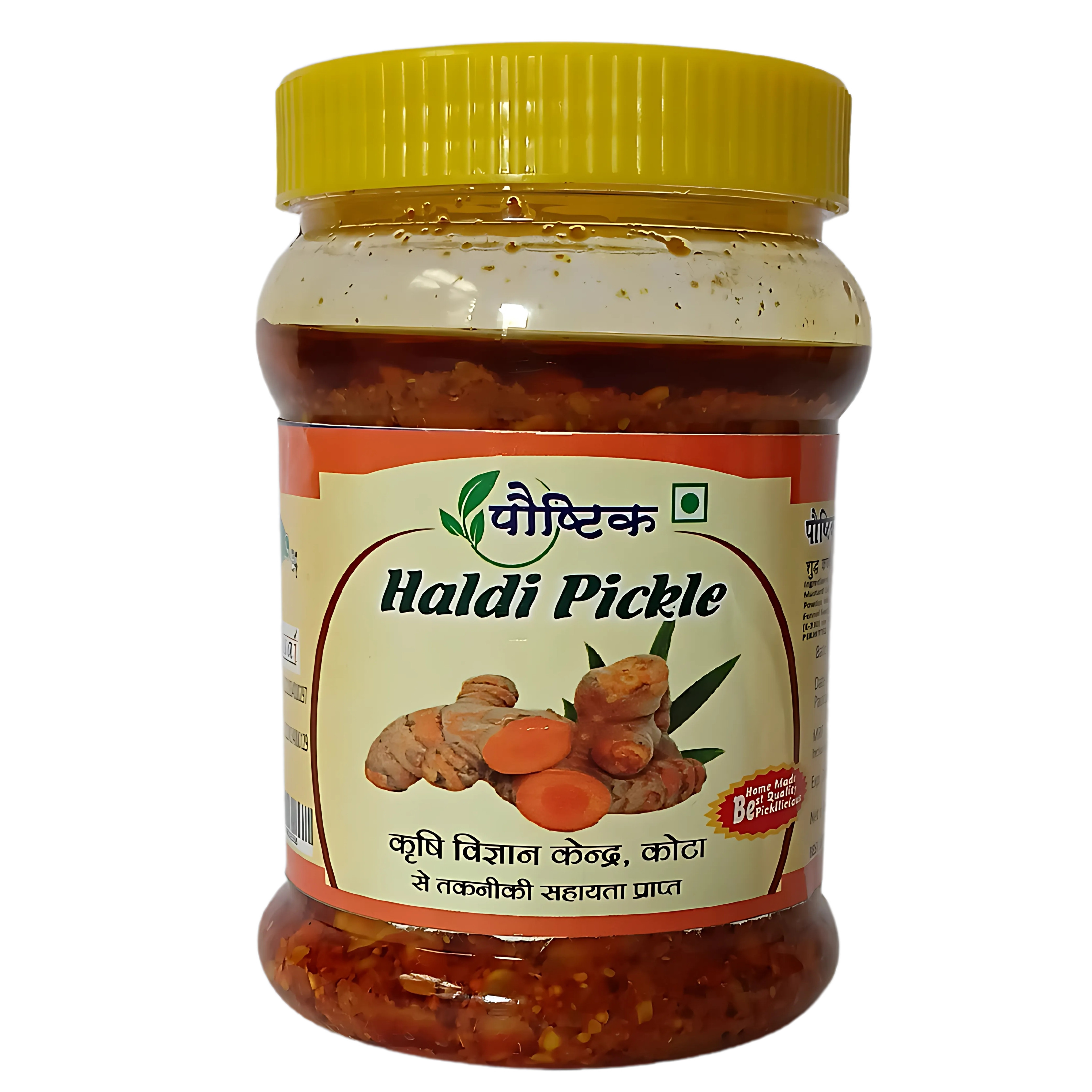 Shree Ji Poshtik Haldi Pickle/450 gm